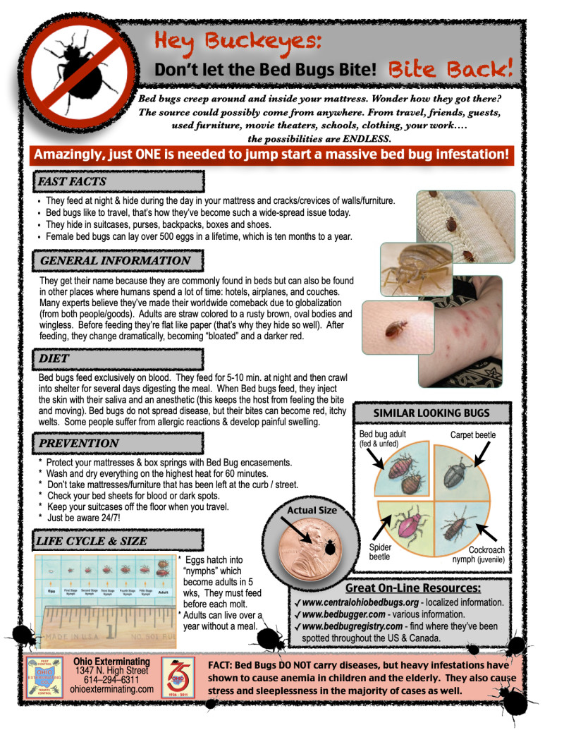 Bed Bug Services